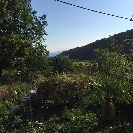 Apartment Dedo, Salara Farmhouse Koper Luaran gambar